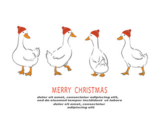 White geese in red hats. Merry Christmas vector illustration