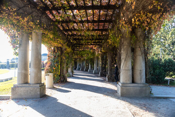 A vertical shot of a corridor under a tree covered with autumn leaves. Autumn leaves on the columns...