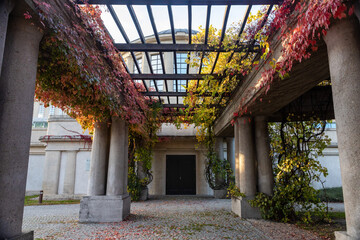 A vertical shot of a corridor under a tree covered with autumn leaves. Autumn leaves on the columns of the ancient gazebo
