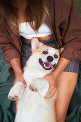Joyful playtime, young woman cuddles with a smiling Pembroke Welsh Corgi dog in the park. photo...