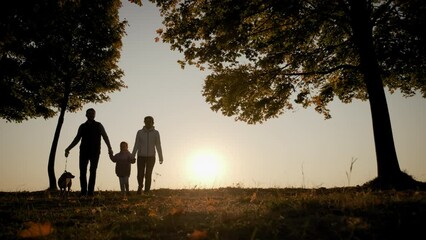 Silhouettes of a family holding hands and walking with a dog during amazing sunset. Slow motion footage