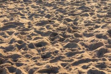 Sandy beach by the sea background