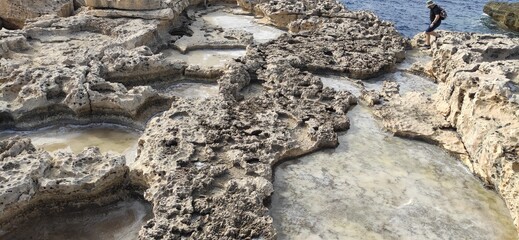 starfish on the beach