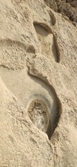footprint in sand