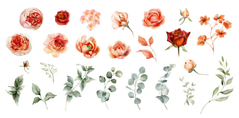 Watercolor floral illustration. Orange flowers and eucalyptus greenery isolated elements. Red roses, peach peony. Perfect for wedding invitation,  stationary, greetings, fashion design © Nataliya Kunitsyna