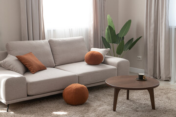 Cosy living room interior with modern sofa and wool carpet