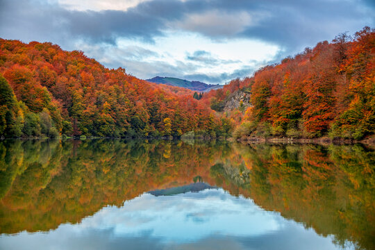 Beautiful beech and fir forest in autumn reflected in the water of a lake in the Selva de Irati, Navarra, Spain with blue sky and in perfect symmetry