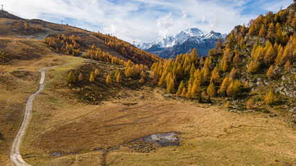 Foliage all'Alpe e Lago Palù, Valmalenco, in autunno