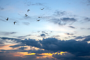 Lush colored clouds in the sky before sunset