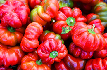 The Hot Cherry Bomb is medium heat pepper, similar to a jalapeno. These are a popular pickling...