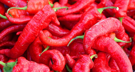 Red hot chili peppers in Jean Talon market Montreal Quebec Canada