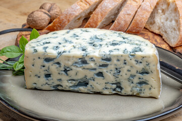 Cheese collection, piece of French blue cheese auvergne or fourme d'ambert