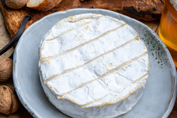 French soft Camembert cheese, original Camembert de Normandie