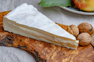 Piece of french soft-ripened white mold cow milk cheese brie produced in Seine-et-Marne region,...