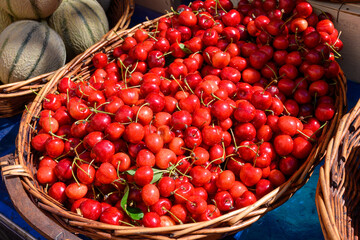 New season of ripe red sweet cherry summer fruits from Venasque, Luberon, cherry for sale on farmers market in Port Grimaud, Provence, France