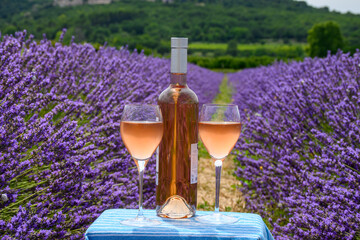 Summer in French Provence, cold gris rose wine from Cotes de Provence and blossoming colorful lavender fields on Valensole plateau, tastes and aromas of Provence, France - obrazy, fototapety, plakaty