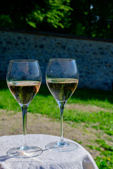 Tasting of premier cru sparkling rose wine with bubbles champagne with view on green pinot noir, meunier vineyards of Hautvillers, France.