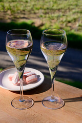 Tasting of premier cru sparkling rose wine with bubbles champagne with view on green pinot noir, meunier vineyards of Hautvillers, France.