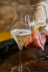 Tasting of grand cru sparkling white wine with bubbles champagne by old champagne caves in grand cru wine producer small village Cramant, Champagne, France