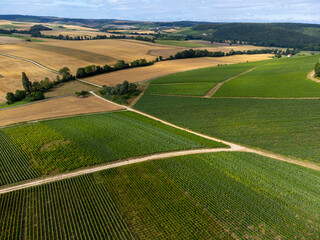 Aerial view on hills with vineyards near Urville, green champagne vineyards in Cote des Bar, Aube, south of Champange, France