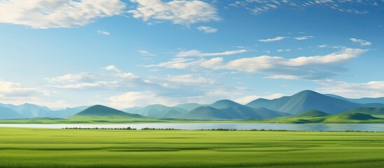 In the summer as I travel through the picturesque landscape I am captivated by the lush green grass...