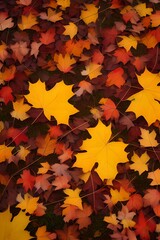 Fototapeta premium Autumn leaves lying on the floor