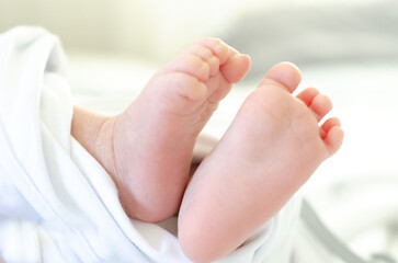 Baby feet 