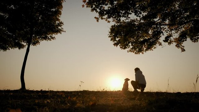 Silhouettes of woman training and playing with her dog during amazing sunset. Wide shot