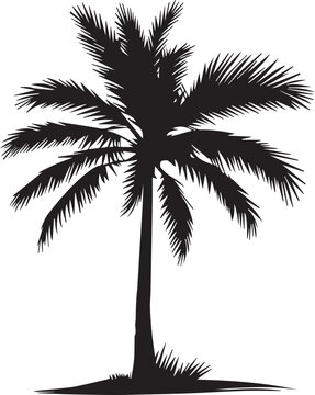 Palm Tree Silhouettes  EPS Palm Tree Vector Clipart