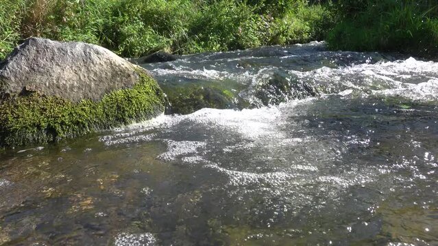 kleine Stromschnellen im klaren Wasser der Erft bei Weilerswist