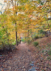 Fort Montgomery, New York in the fall