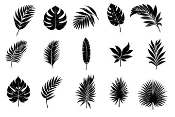Palm tropical leaves, black silhouette on a transparent background, vector set
