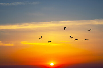 brightly colorful clouds in the evening sky. Lush colored clouds in the sky before sunset. dawn in the clouds