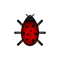 Ladybug icon on white.