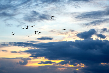 Lush colored clouds in the sky before sunset