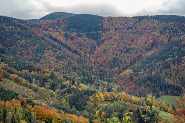 Valley with forest in autumn colors.