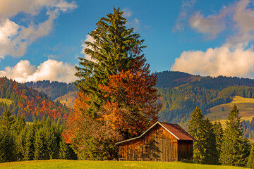 Herbst - Allgäu - Stadel - Oktober - Oberjoch