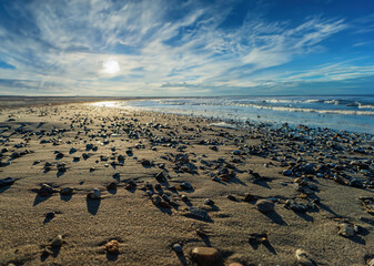 Küste in Dänemark mit Objekten am Strand