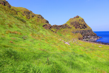 The Causeway Coast is famous for an awful lot of things. Generation after generation of visitors flocked to the immense beaches at Portrush and Portstewart.