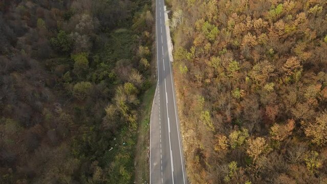 Top down aerial view drone image on the road trough the trees and forest in mountain range Tresibaba in autumn day in Serbia Travel journey and vacation concept