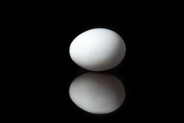 Single white chicken eggs on black background with reflection