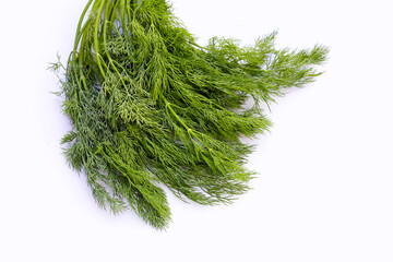 Fresh green dill on white.