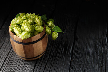 Hops in a wooden keg on a black wooden background