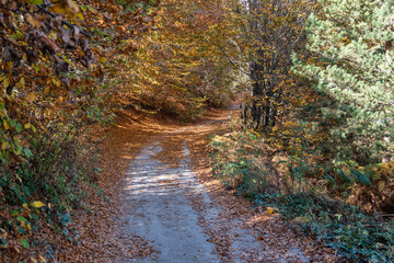Autumn view of ancient sanctuary Belintash, Bulgaria
