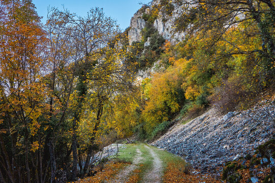 Font Roja natural park. Autumn forest landscape. View of autumn leaves. In Alcoi, Alicante, Valencian community, Spain.