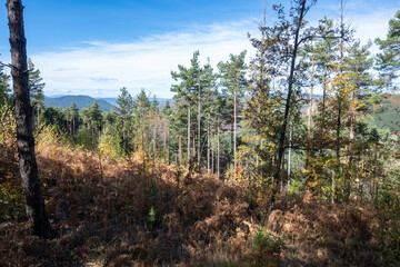 Autumn view of ancient sanctuary Belintash, Bulgaria