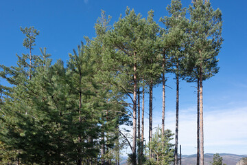 Autumn view of ancient sanctuary Belintash, Bulgaria