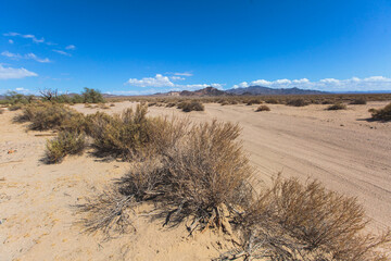 View of Mojave Desert national reserve landscape, an arid rain-shadow desert, California, United States of America, summer sunny day with road, mountains, sand dunes and a blue sky