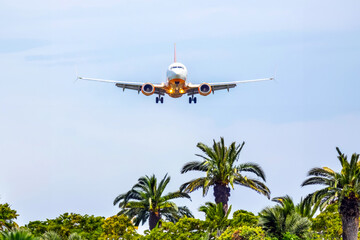 passenger plane flies over palm trees. air transport industry