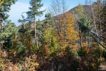 Autumn view of ancient sanctuary Belintash, Bulgaria